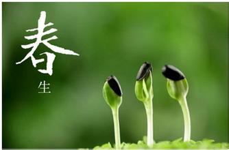 如何結(jié)合御髮膳養(yǎng)生更佳？