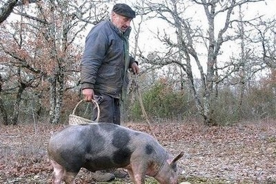 1468486214694269.jpg t01d985b9e27423b7d2 (1).jpg